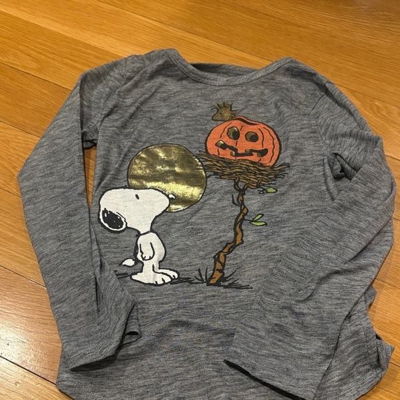 Peanuts Other - Peanuts Gray Long Sleeve Shirt with Snoopy and Pumpkin